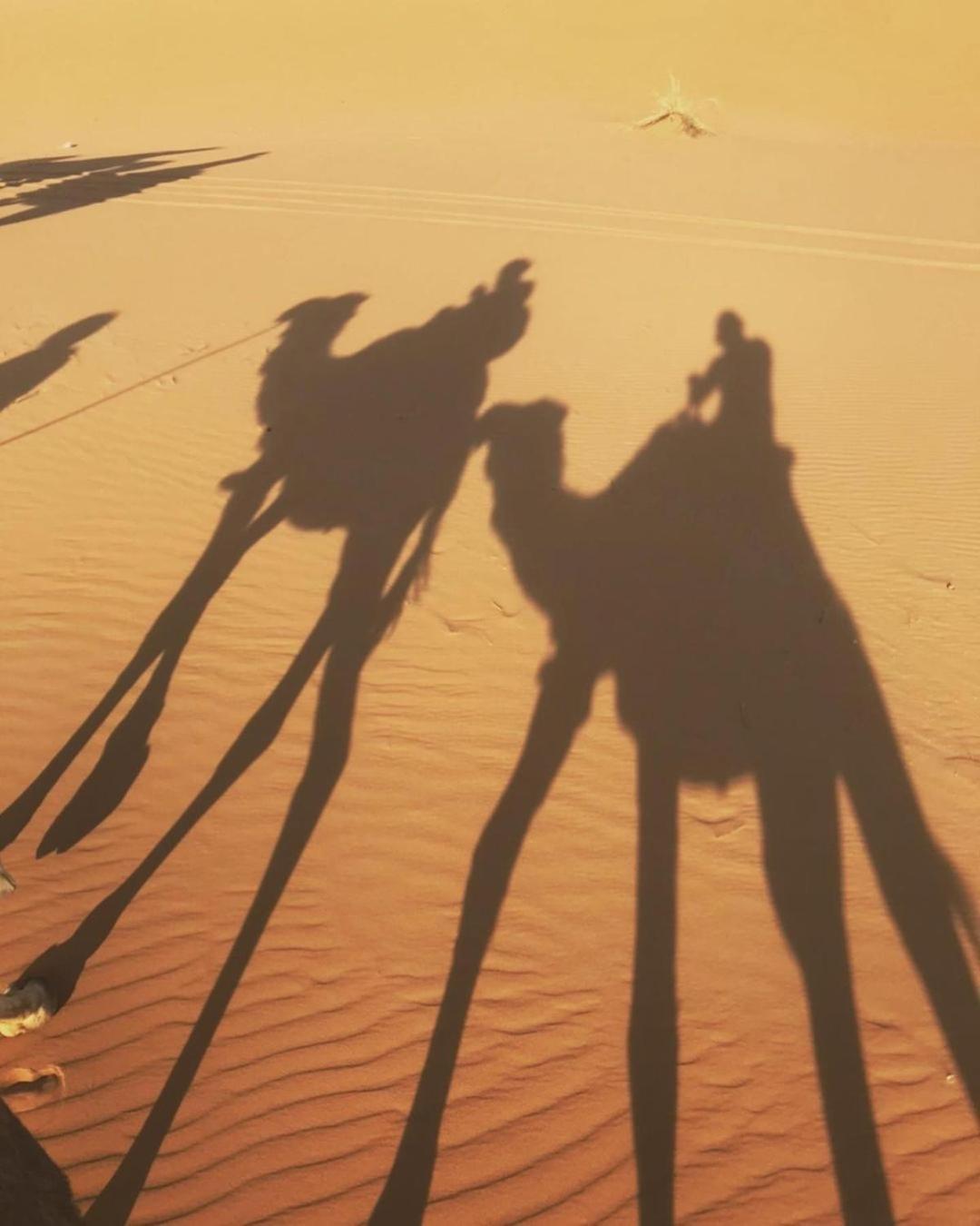 Desert Lover'S Luxury Camp Merzouga Eksteriør bilde